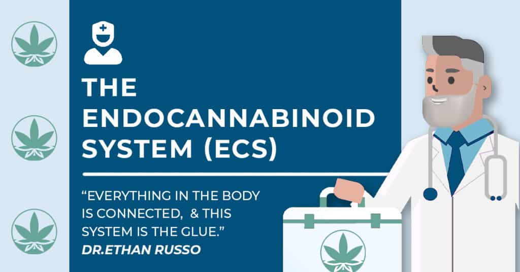 A cartoon doctor holding a cannabis briefcase with the words 'endocannabinoid system' with a quote that says, 'everything in the human body is connected, and the ECS is the glue.' by Dr. Ethan Russo.