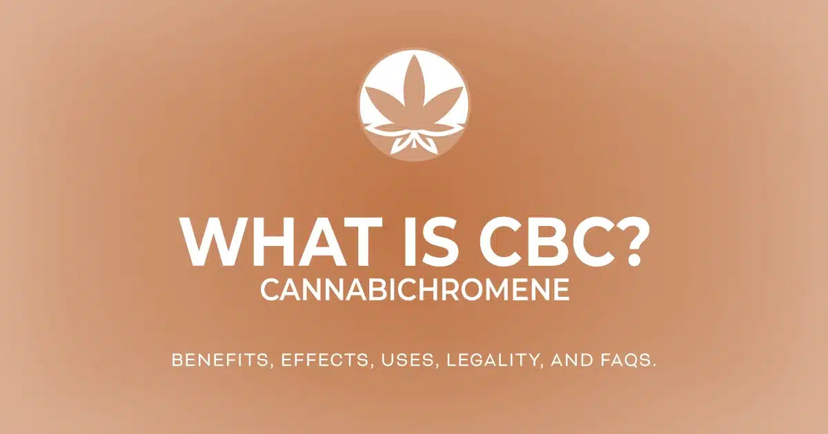 The words 'What is CBC? The benefits, effects, uses, legality, and FAQs' are in white letters on a gradient orange background next to the THCGummies.com logo.