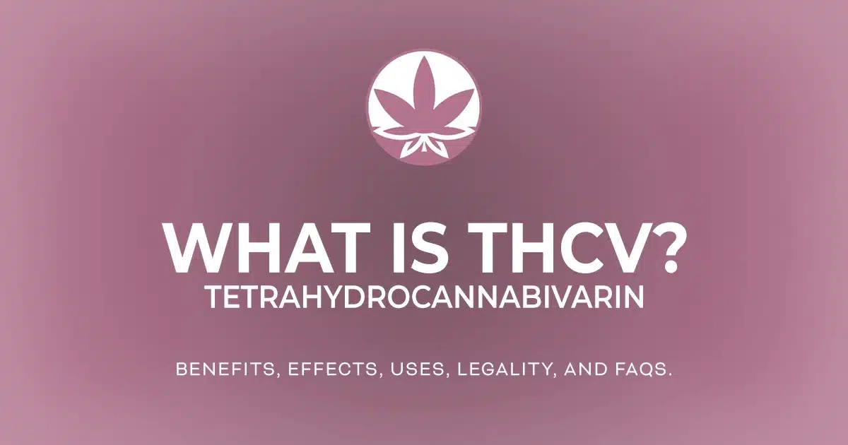The words 'What is THCV? The benefits, effects, uses, legality, and FAQs' are in white letters on a gradient maroon background next to the THCGummies.com logo.