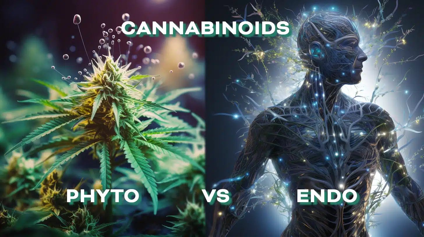A microscopic view of comparison images of different cannabinoids, phytocannabinoids, and endocannabinoids.