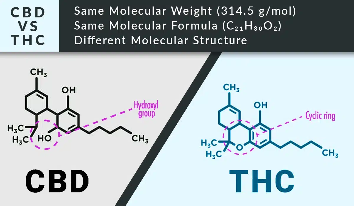 Cbd vs thc comparing molecular structure weight and formula