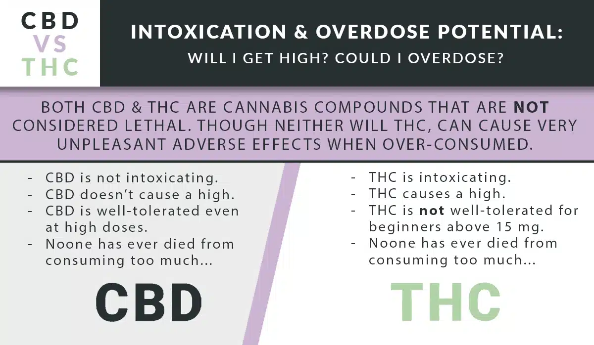 Cbd vs thc intoxication overdose