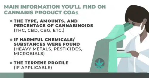 A cartoon scientist of african decent is wearing a white lab coat looking through a microscope with the following information on a white background, 'main information you’ll find on cannabis product coas. 1. The type, amounts, and percentage of cannabinoids (thc, cbd, cbg, etc. ) 2. If harmful chemicals/ substances were found (heavy metals, pesticides, microbials) 3. The terpene profile(if applicable)'.