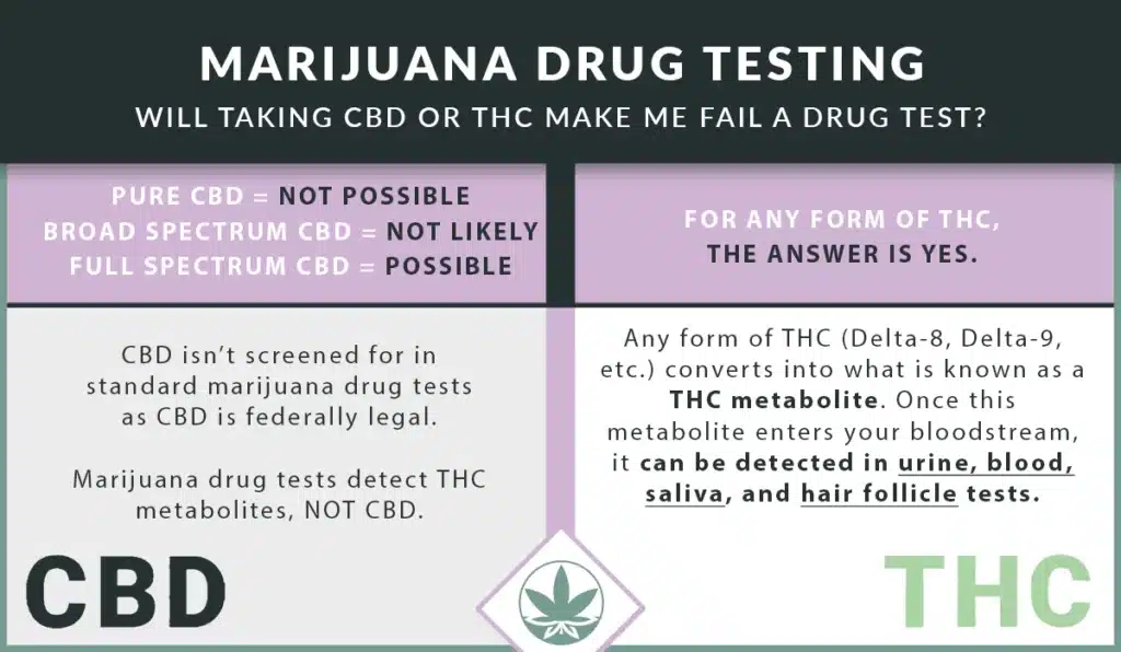 A cbd vs thc comaprison answering the question, 'will taking cbd or thc make me fail a drug test? ' the anwere: pure cbd = not possible, broad spectrum cbd = not likely, full spectrum cbd = possible, for any form of thc, the answer is yes, - cbd isn't screened for in standard marijuana drug tests as cbd is federally legal. - marijuana drug tests detect thc metabolites, not cbd. - cbd any form of thc (delta-8, delta-9, etc. ) converts into what is known as a thc metabolite. Once this metabolite enters your bloodstream, it can be detected in urine, blood, saliva, and hair follicle tests. Thc